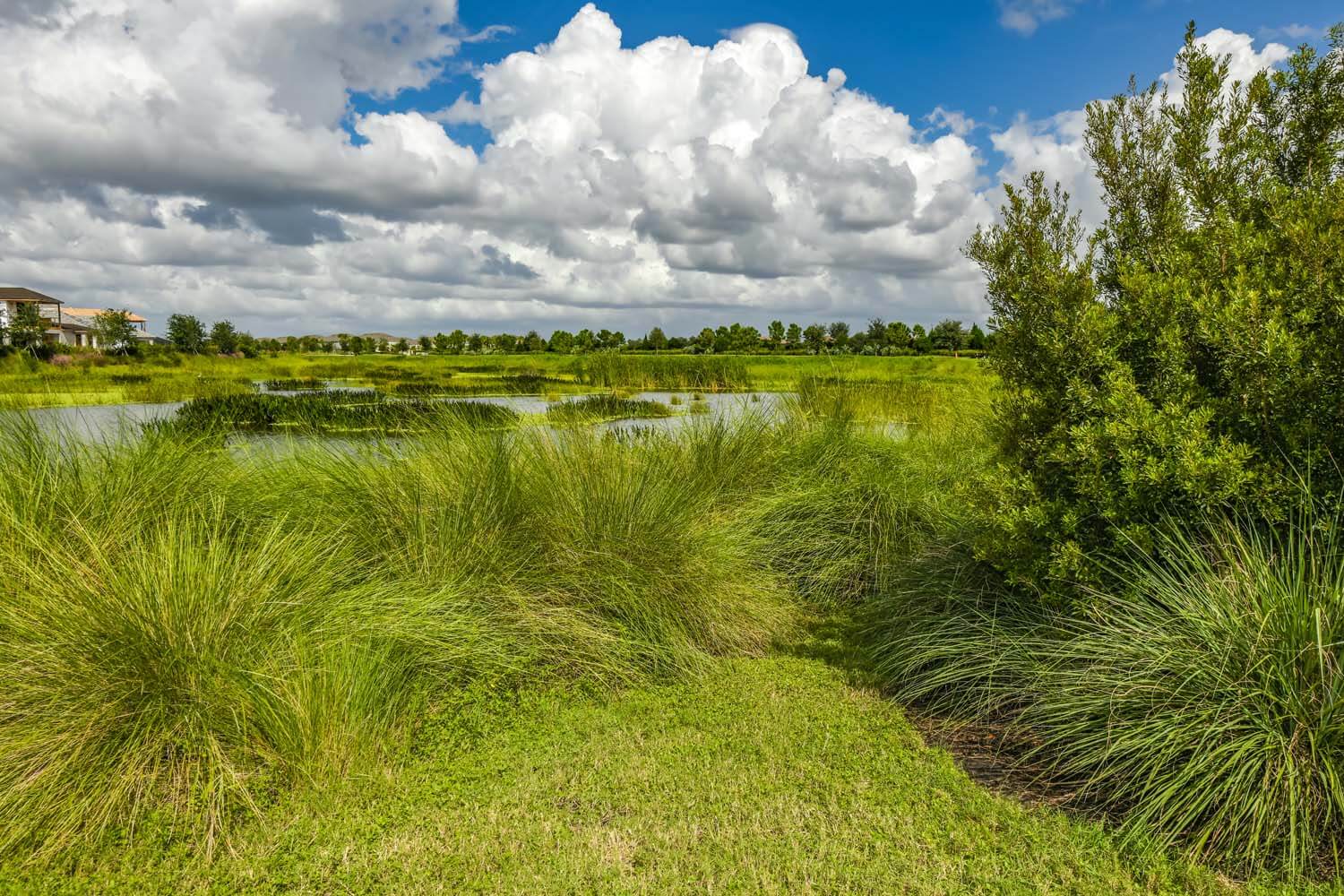 Sarasota area, new homes for sale in Worthington Cardel Homes