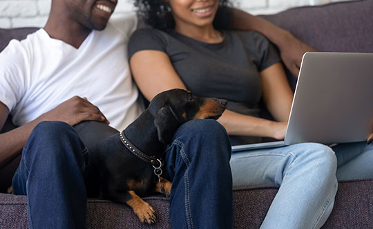 couple on computer with dog