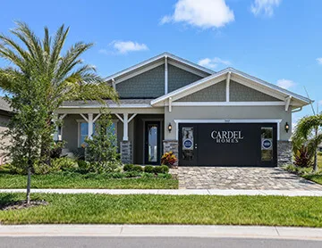 Brighton Past elevation