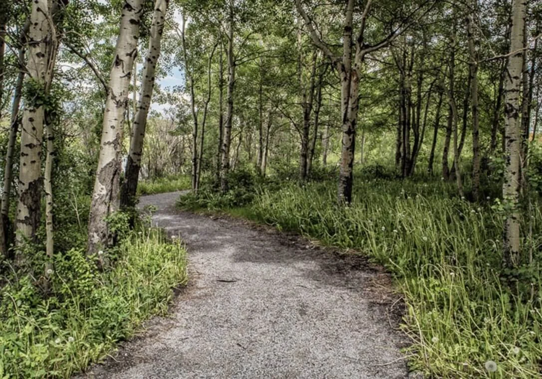 Fireside Lifestyle 02