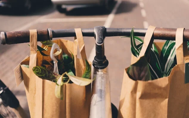 Grocery bags on bike - Ironwood Ottawa Ontario