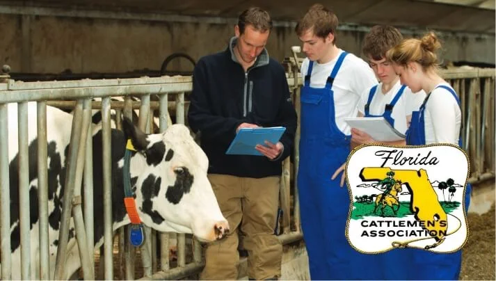 Florida Cattlemens