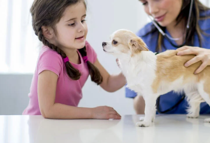 Cardel Rec facility photo 5