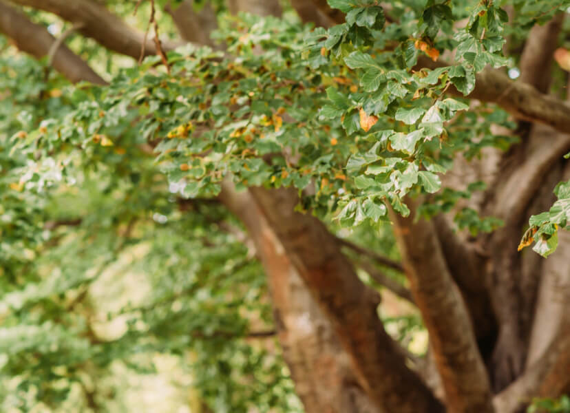 southwind-lifestyle-02