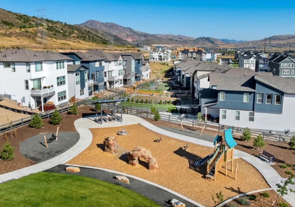 Colorado Cardel Difference 05