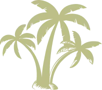 Coconut tree