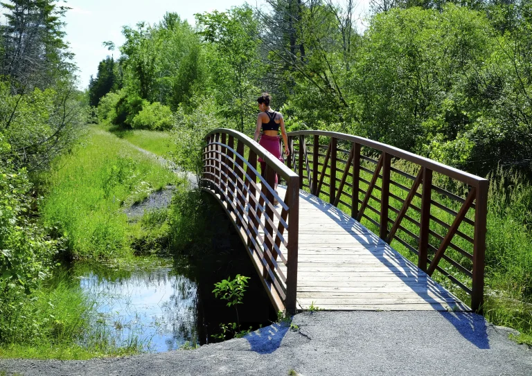 EdenWylde - edenwylde-gallery-02