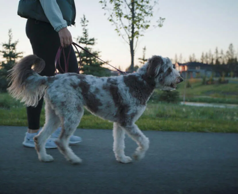 Shawnee West Park 07