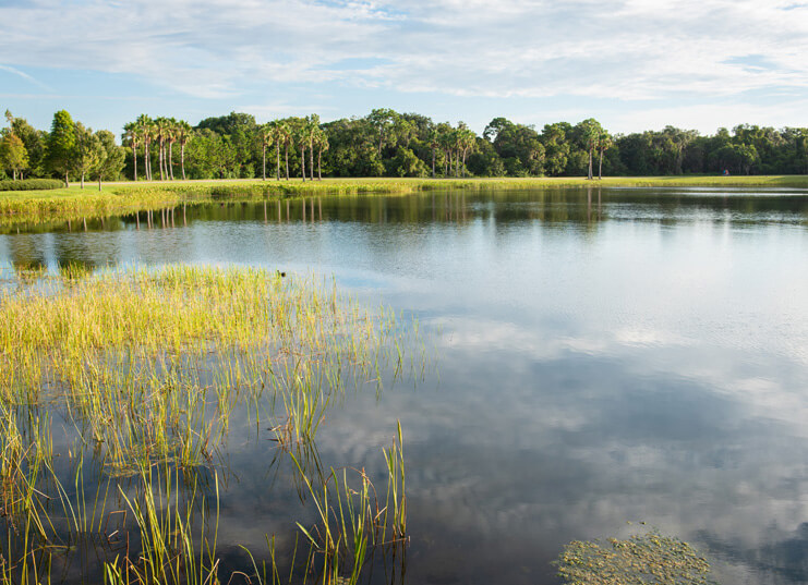 Waterset community 15