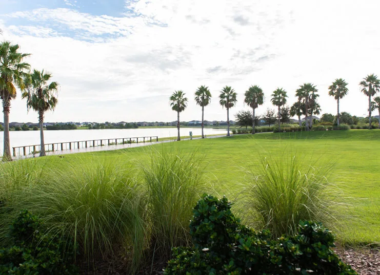 Waterset community 17