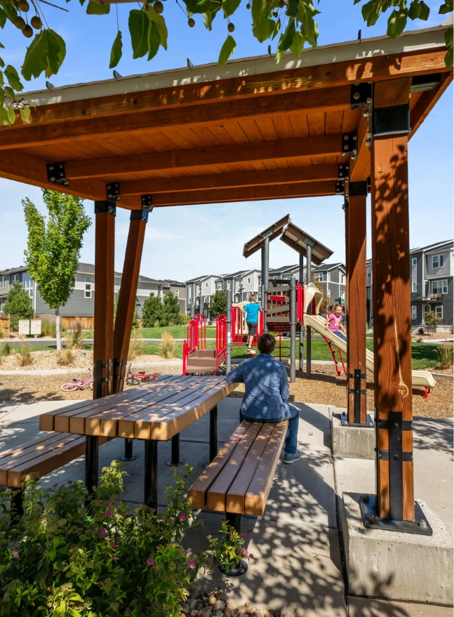 Park Picnic table