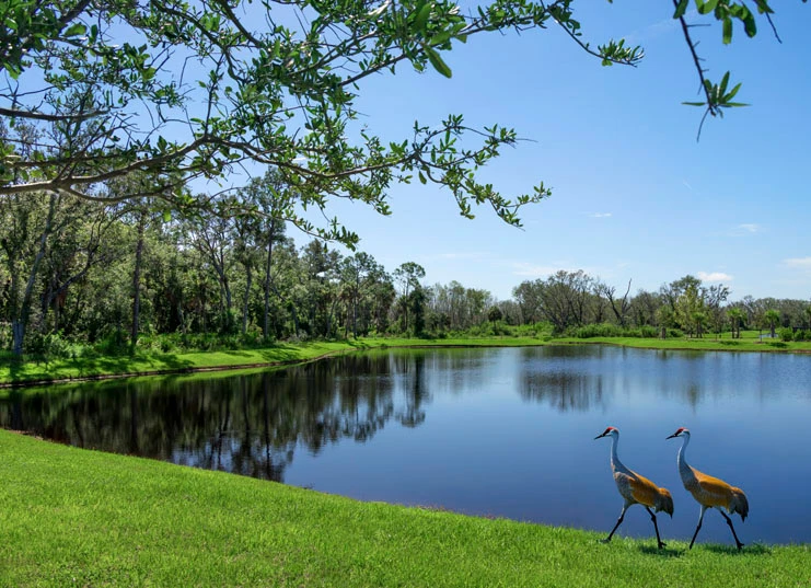 North River Ranch Community 24